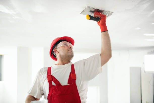 Best Fire-Damaged Drywall Repair  in Medina, OH